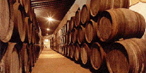 01102-JEREZ_EQUIP.jpg